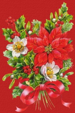 poinsettahdr1.jpg